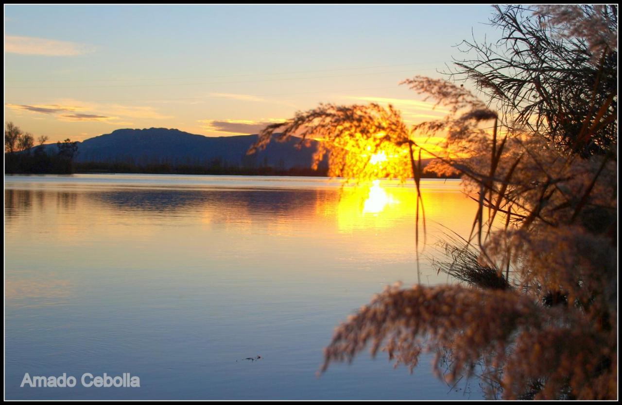 Villa Paquita - Delta De L'Ebre Делтебре Екстериор снимка