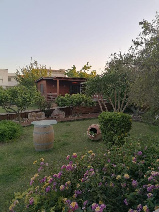 Villa Paquita - Delta De L'Ebre Делтебре Екстериор снимка
