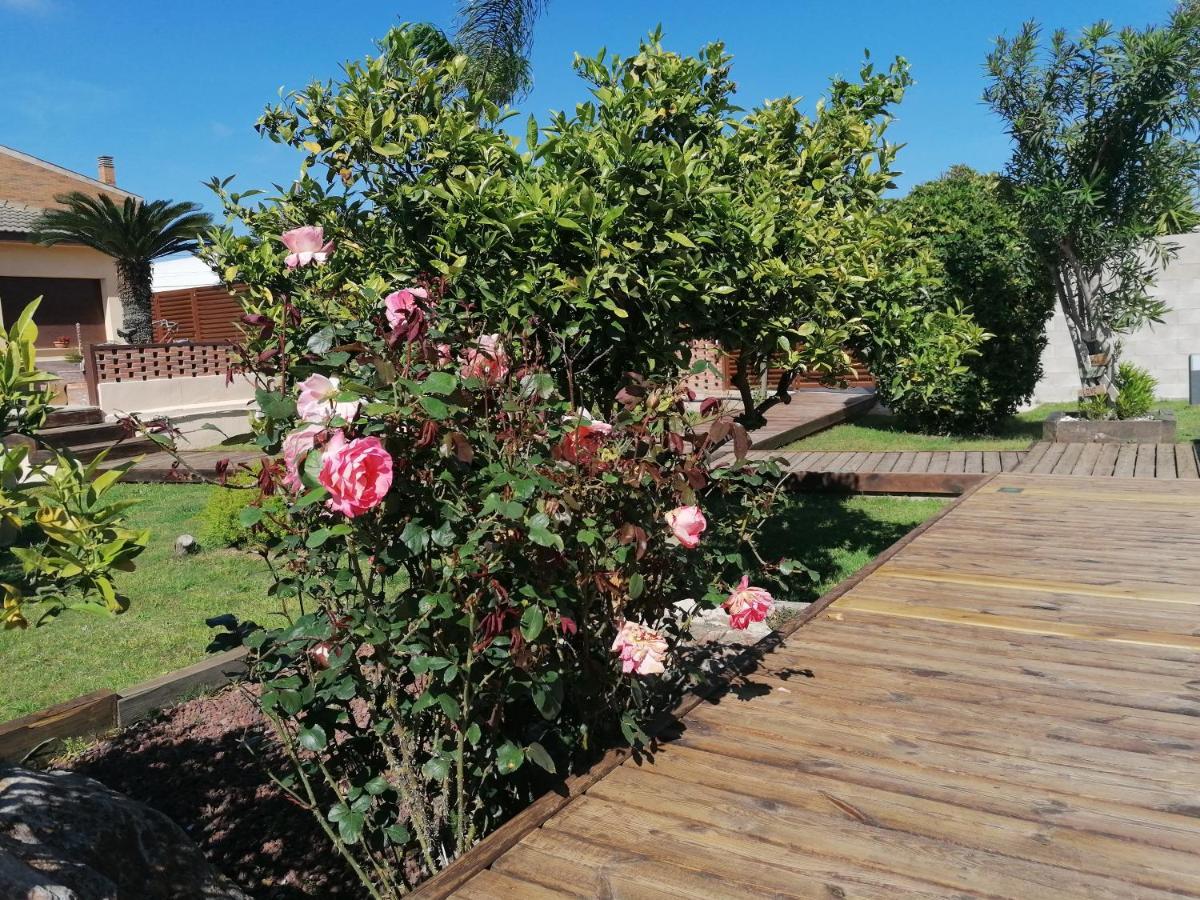 Villa Paquita - Delta De L'Ebre Делтебре Екстериор снимка